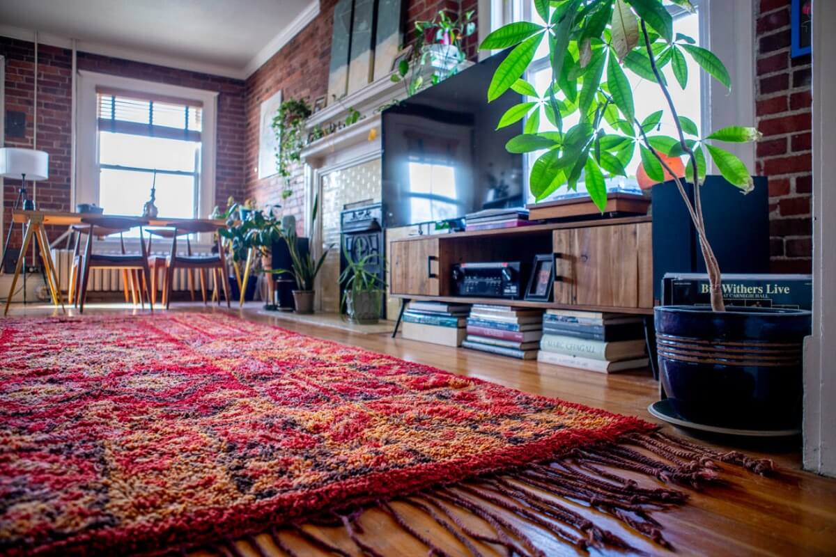 Red shag rug